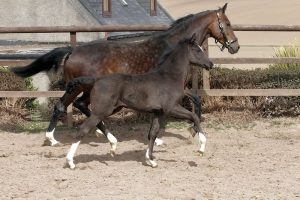Lady 4 21 13